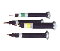 額定電壓450-750V及以下控制電纜.jpg 額定電壓450-750V及以下控制電纜.jpg